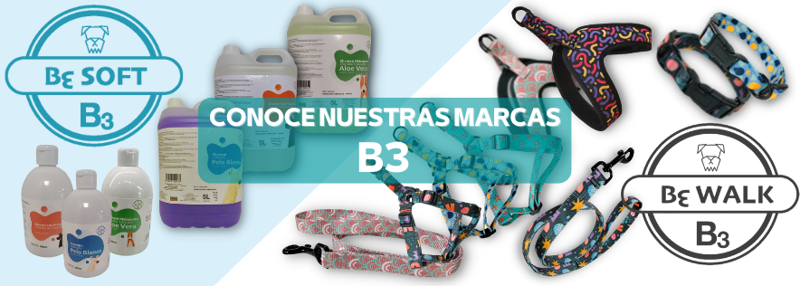 Marcas b3